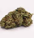 Garrig\'Peach